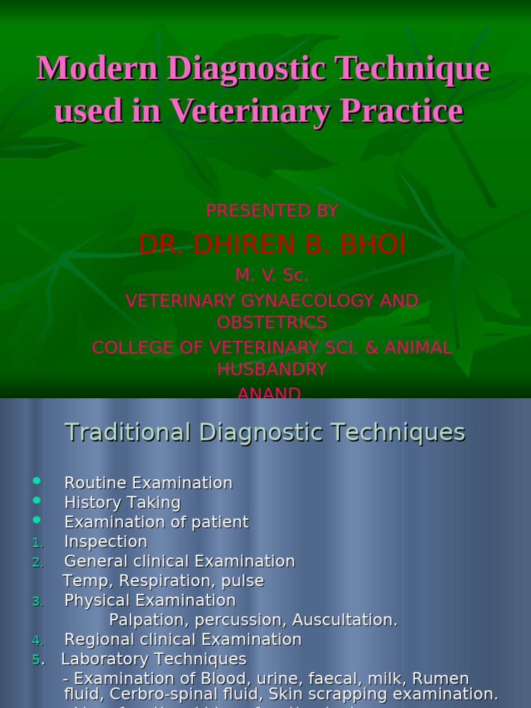 What Does Housekeeping Mean In Veterinary Practice