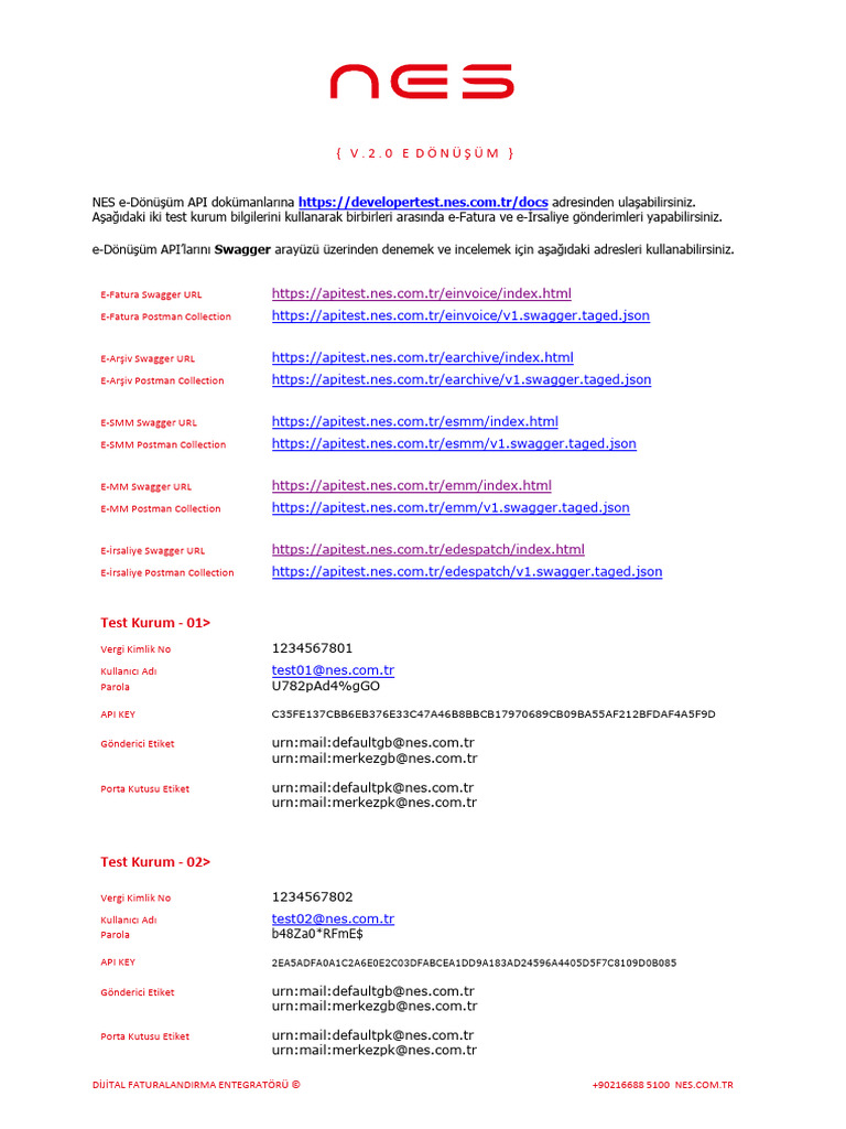 NES E-Dönüşüm API | PDF