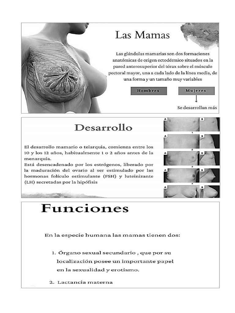 Anato Mama | PDF