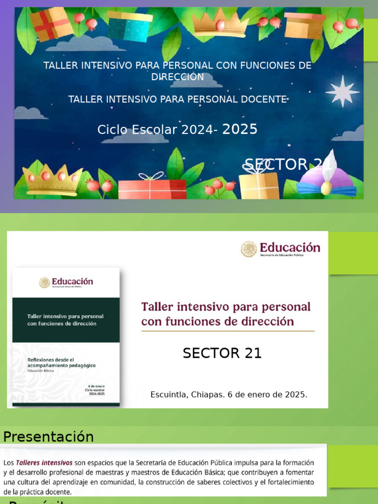 Taller Intensivo para Docentes 2024-2025 | PDF