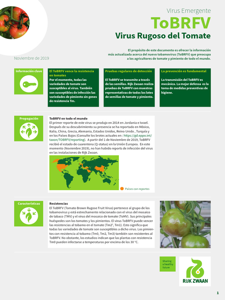 ToBRFV: Virus del Tomate y Pimiento | PDF | Virus | Laboratorios