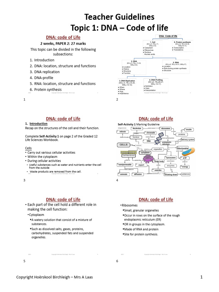 GR 12 Ls Topic 1 - Dna-2021 TG | PDF | Messenger Rna | Dna