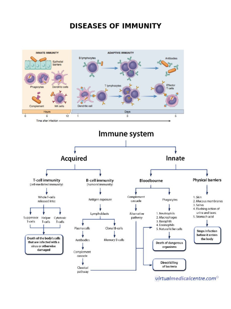 Immunity 1 | PDF | Lymphocyte | Immune System