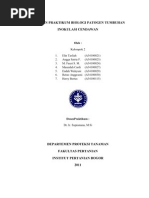 Download LAPORAN inokulasi cendawan by Stevany Maria Lestari Paalloan SN82175571 doc pdf