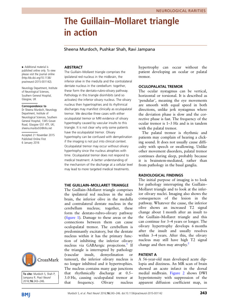morallet triangle | PDF | Cerebellum | Magnetic Resonance Imaging