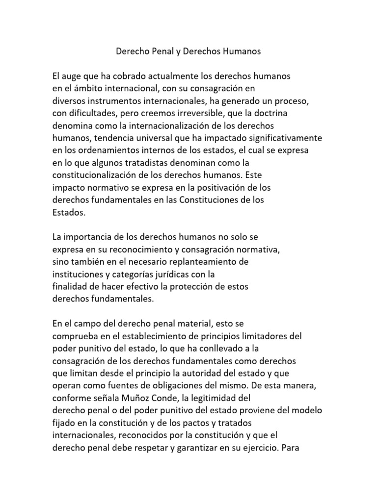 Derecho Penal y Derechos Humanos | PDF | Derechos humanos | Fiscal