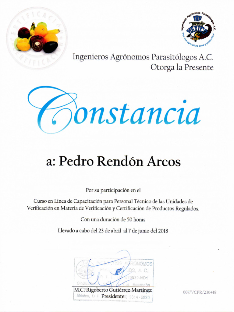 Pedro Rendón Arcos | PDF