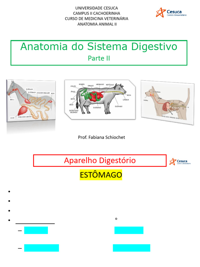 Anatomia do Óstio Cárdico em Animais | PDF | Estômago | Sistema ...