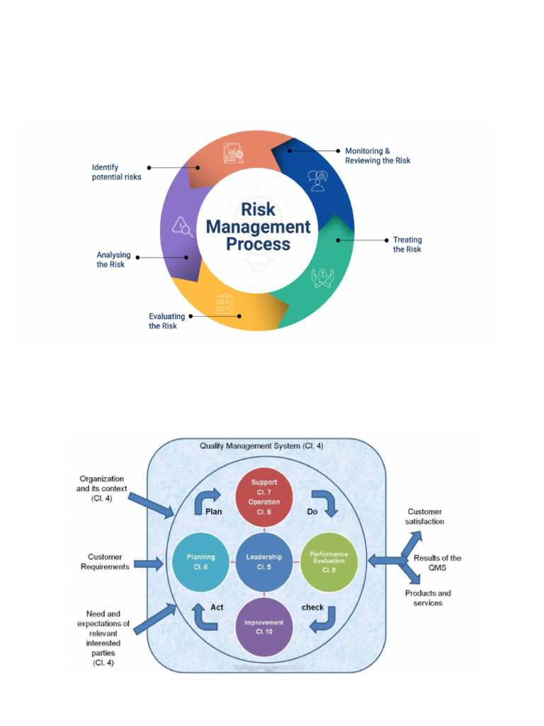Risk Management | PDF