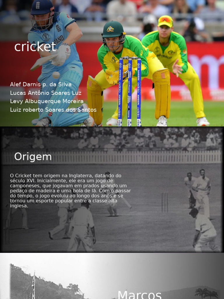 Cricket | PDF