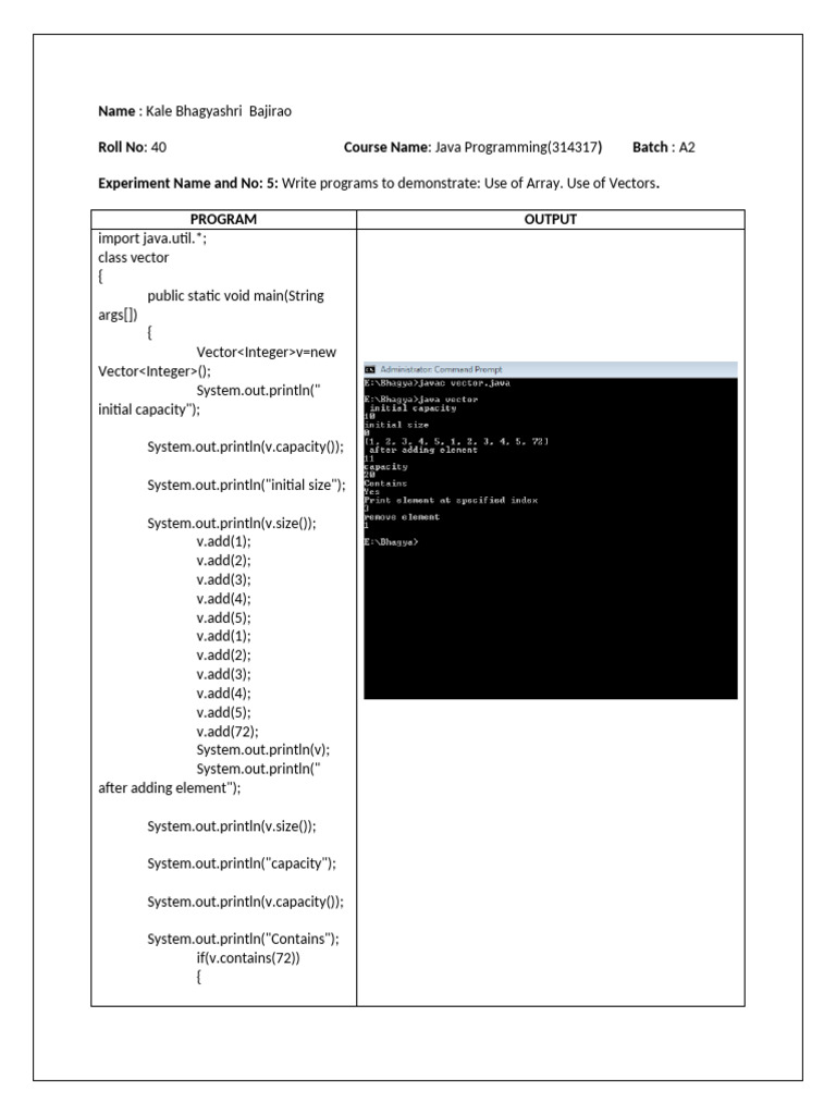Java Vector and Array Program | PDF