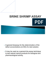 Brine Shrimp Assay