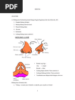 ANATOMI FISIOLOGI HIDUNG pdf ANATOMI FISIOLOGI HIDUNG pdf