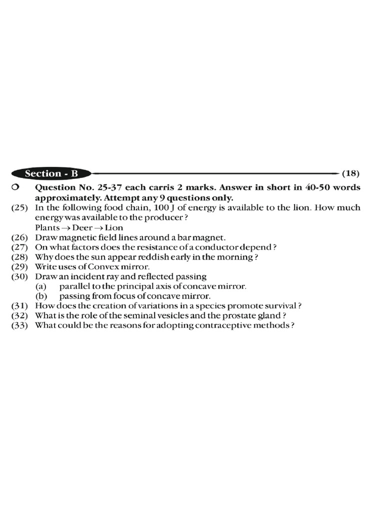 Section B | PDF