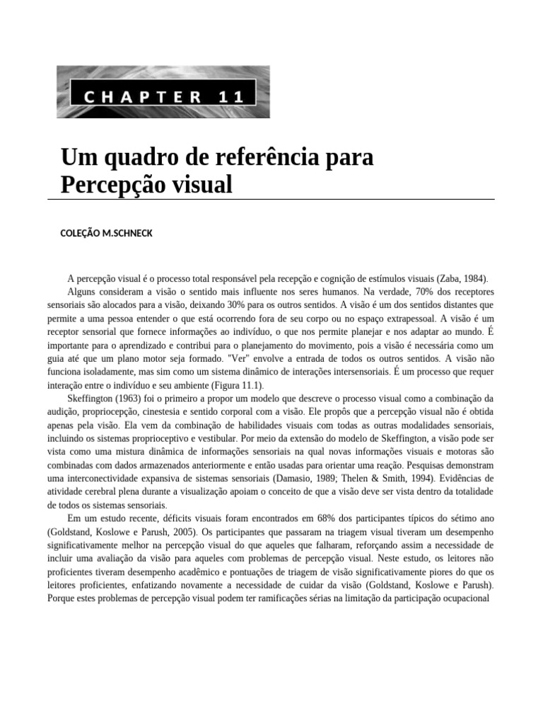 Quadro de Referência para Percepção Visual | PDF | Sistema visual ...