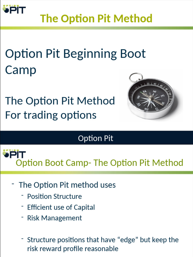 Mastering Options Trading Basics | PDF | Option (Finance) | Stocks