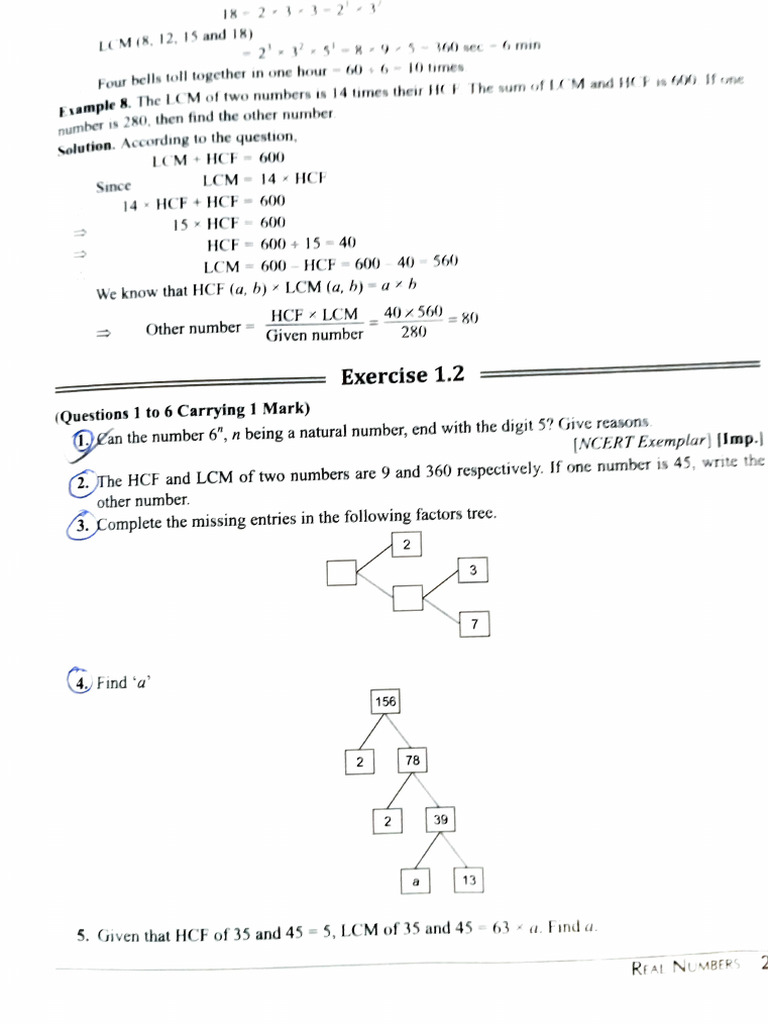 HCF and LCM Calculations Guide | PDF | Equations | Rational Number