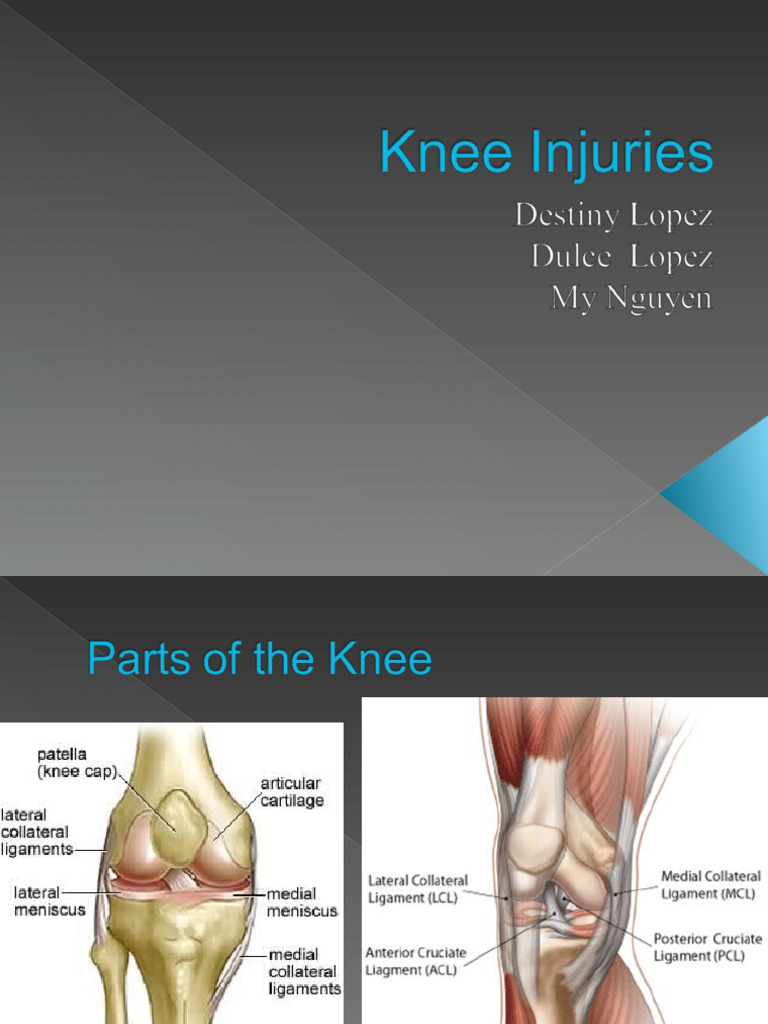 SmKnee Injuries Powerpoint 211 | PDF | Knee | Soft Tissue