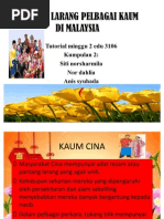 Presentation 1 Haiwan Bertelur Pdf