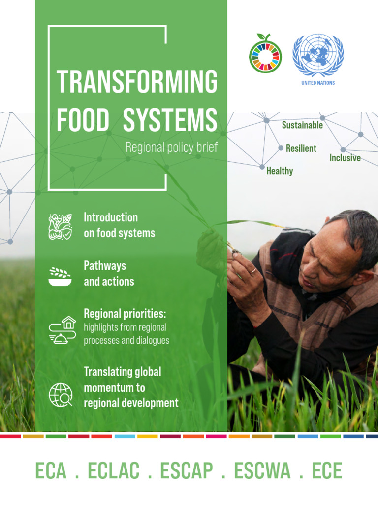 Transforming Food Systems English 0 | PDF | Food Security | Malnutrition