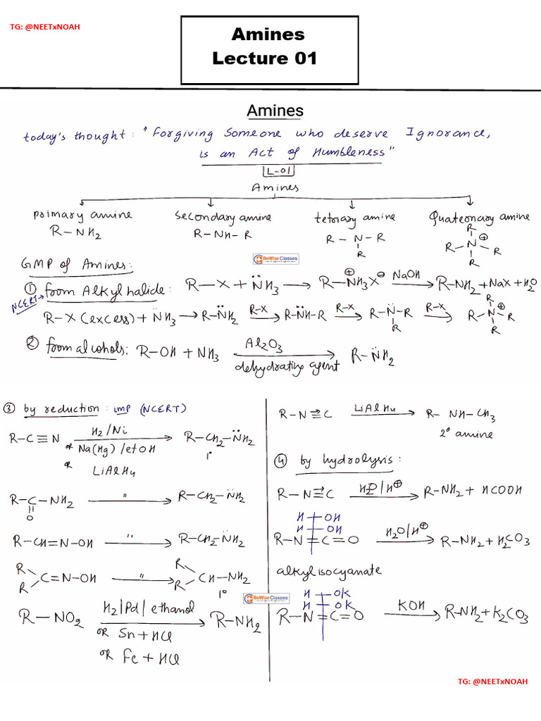 NEET Chemistry: Amines Lecture Notes | PDF