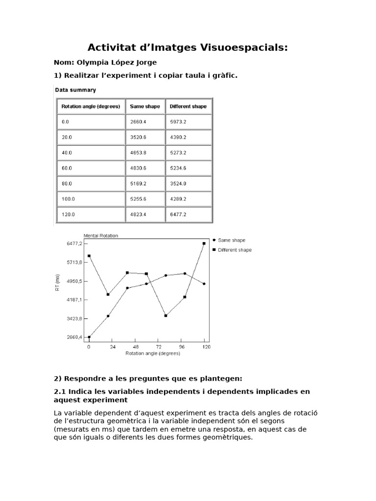Imatges Visuoespacials | PDF