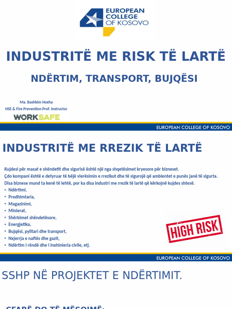 Industritë Me Risk Të Lartë | PDF