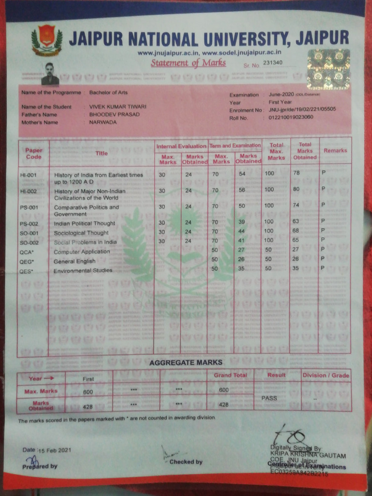 Jaipur National University Marksheet | PDF