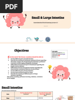 Anatomy of the Colon Explained | PDF | Large Intestine ...