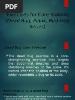 Core Stability: Bird Dog & Dead Bug | PDF | Physical Fitness | Physical ...