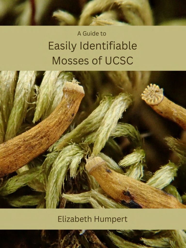 UCSC Moss Identification Guide | PDF | Sexual Reproduction | Moss