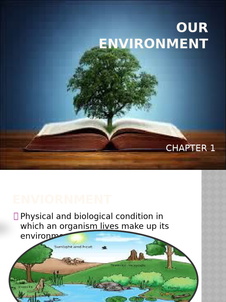 Our Environment | PDF