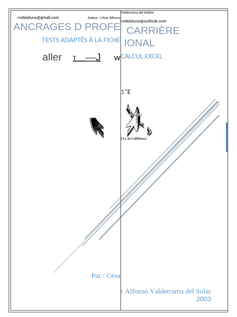 Test Ancrages de Carrière Tests D'adaptation Au Excel Ex Med Schein Ex ...