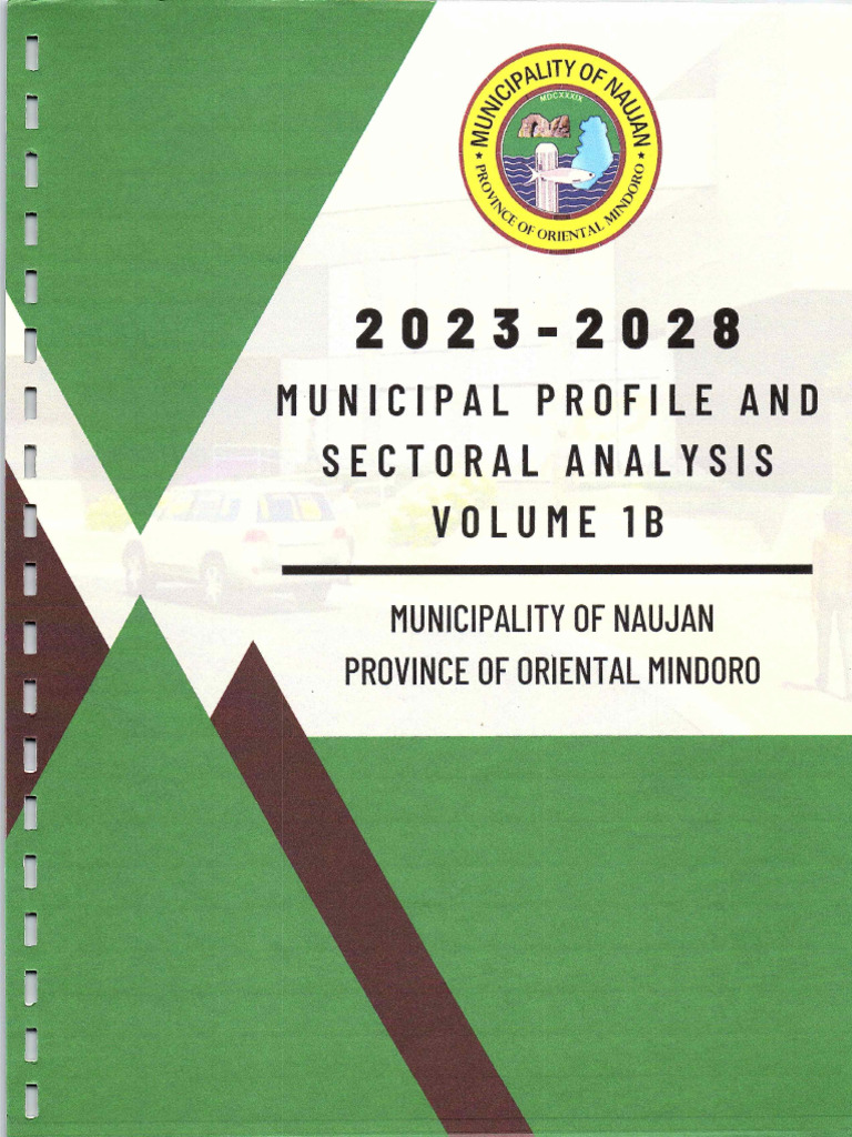 Municipal Profile and Sectoral Analysis Volume 1B | PDF