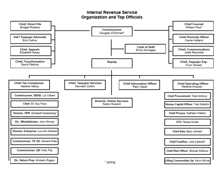 IRS Organizational Chart 2025 PDF Internal Revenue Service