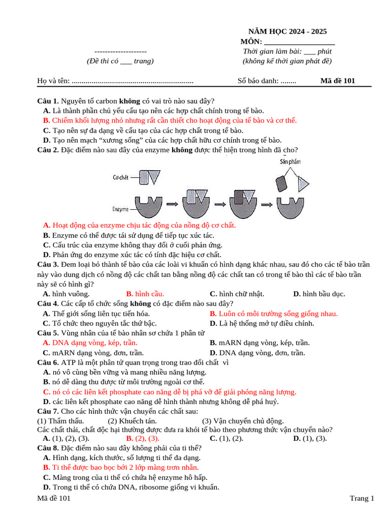 Ma de 101 | PDF