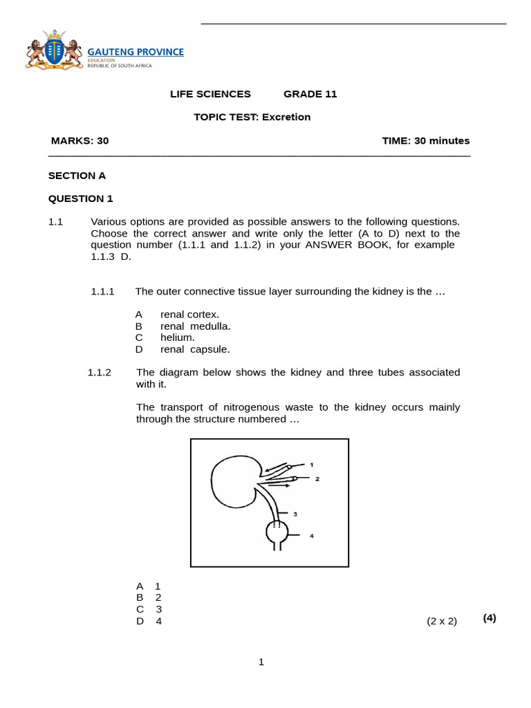 Grade 11 Excretion Topic Test | PDF | Kidney | Abdomen