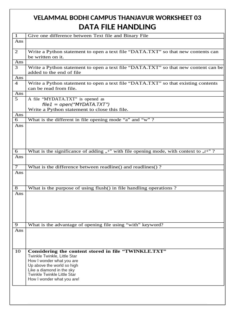 Python File Handling Worksheet | PDF | Text File | Computer File