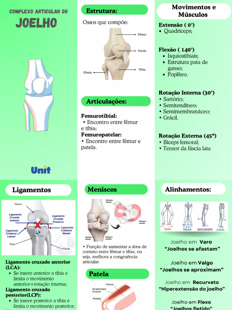 Joelho | PDF