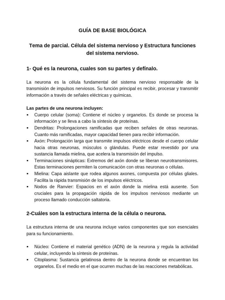 Base Biológica de La Conducta | PDF | Sistema nervioso central | Neurona