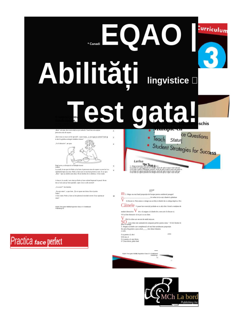 Abilități de Limbaj Pregătite Pentru Testul EQAO - Clasa A 3-A | PDF