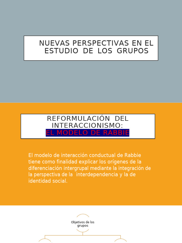 Modelo de Interacción Conductual de Rabbie | PDF | Información | Sicología