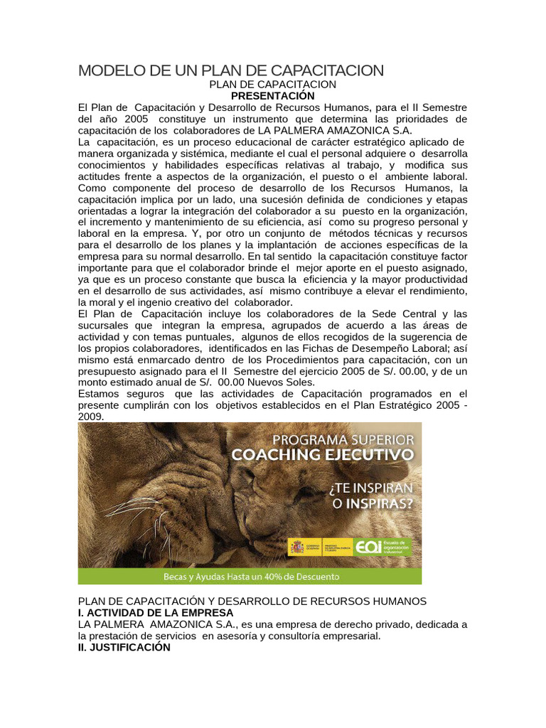 Modelo de Un Plan de Capacitacion | PDF | Gestión de recursos humanos ...
