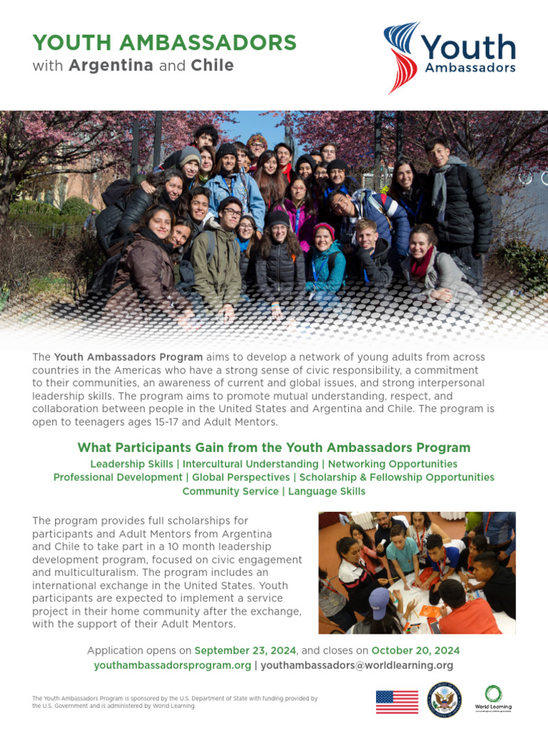 Youth Ambassadors Program 2024-2025 | PDF | Civic Engagement | Social ...