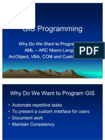 GIS Programming