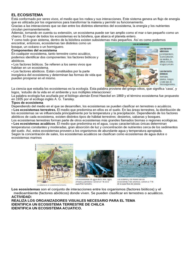 Componentes y Tipos de Ecosistemas | PDF | Ecosistema | Ecología