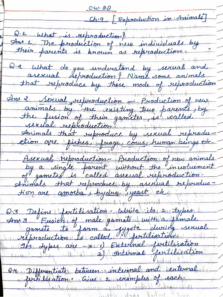 Class 8 Science CH 9 C.W. 88 | PDF