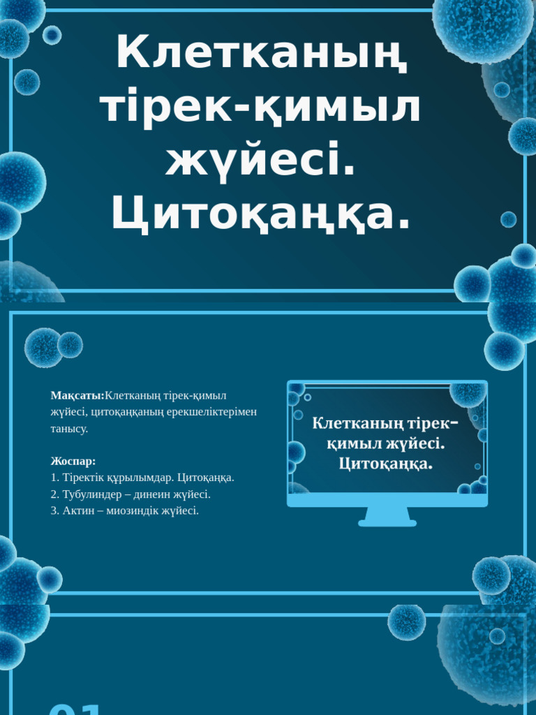 Егде жастағы ерлі-зайыптылар жасырын камерада жыныстық қатынасқа түседі.