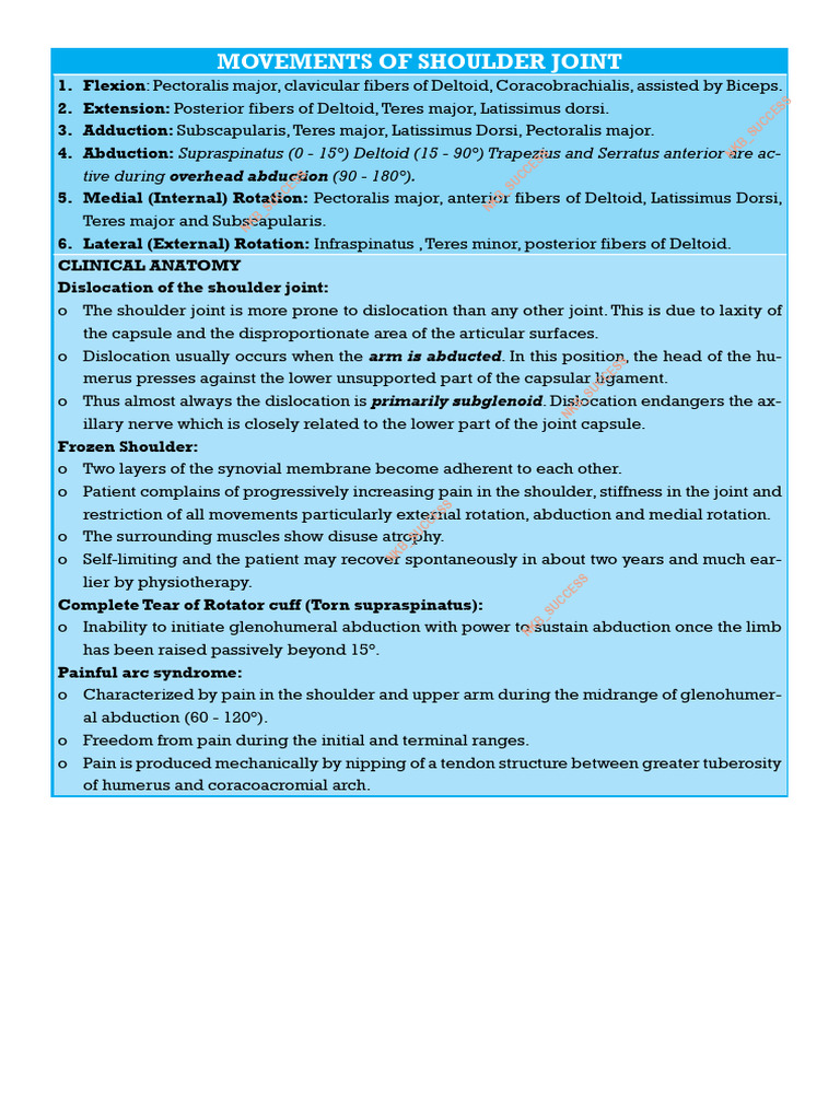 SHOULDER JOINT | PDF | Shoulder | Anatomical Terms Of Motion