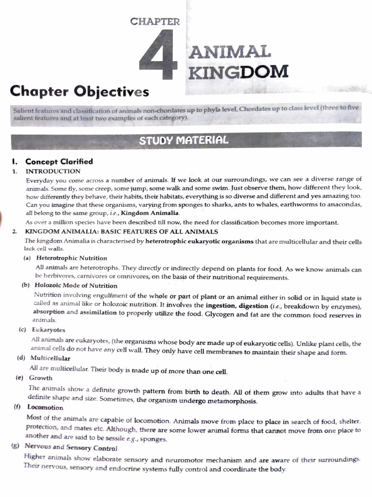 Animal Kingdom Classification Overview | PDF | Sponge | Zoology